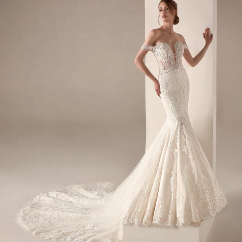 Pronovias Imelda Wedding Gown - Picture 16 of 16